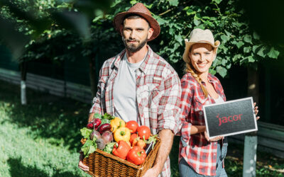 Die drei tragenden Säulen im Local SEO
