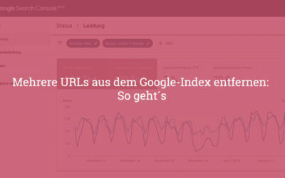 Mehrere URLs aus dem Google-Index entfernen:  So geht´s