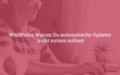 WordPress Update: Warum Du automatische Updates nicht nutzen solltest